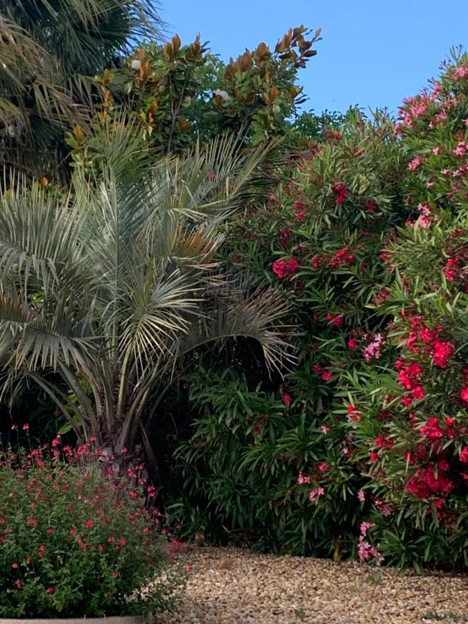 Conilhac-Corbières La Dolce Vita Occitane المظهر الخارجي الصورة